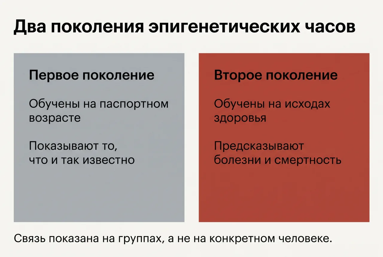 Два поколения эпигенетических часов: первое обучено на паспортном возрасте, второе — на исходах здоровья и предсказывает болезни и смертность