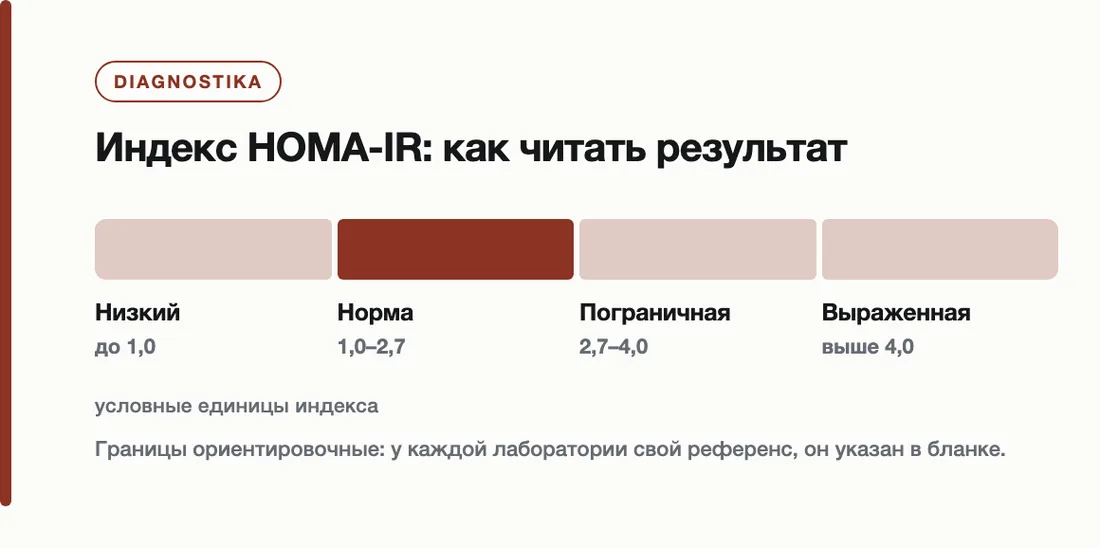 Индекс HOMA-IR: как читать результат: Низкий до 1,0, Норма 1,0–2,7, Пограничная 2,7–4,0, Выраженная выше 4,0