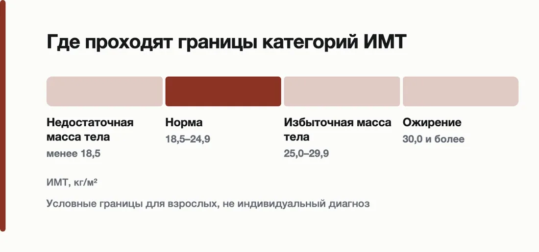 Где проходят границы категорий ИМТ: Недостаточная масса тела менее 18,5, Норма 18,5–24,9, Избыточная масса тела 25,0–29,9, Ожирение 30,0 и более