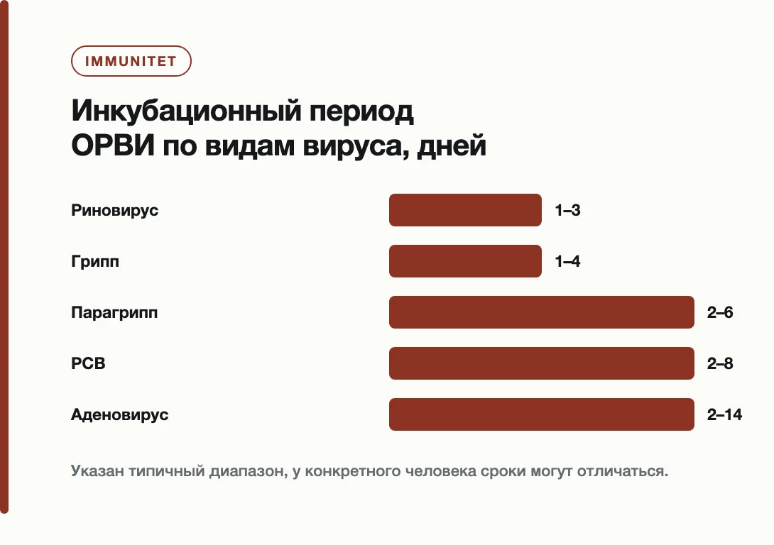 Инкубационный период ОРВИ по видам вируса, дней: Риновирус — 1–3, Грипп — 1–4, Парагрипп — 2–6, РСВ — 2–8, Аденовирус — 2–14